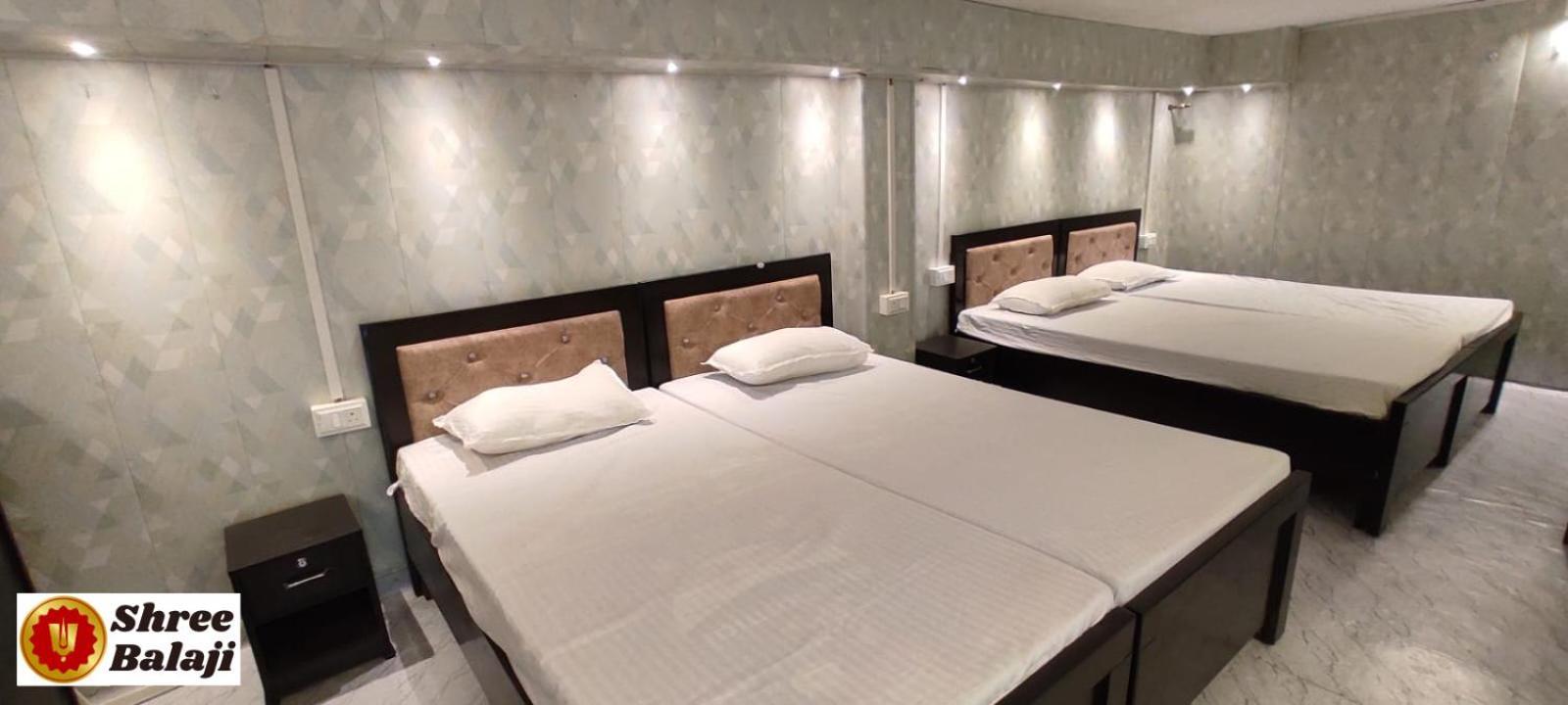 Shree Balaji Luxury Homestay Hostel *