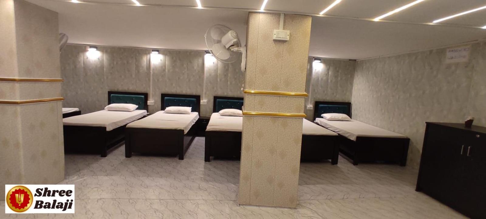 Hostel Shree Balaji Luxury Homestay